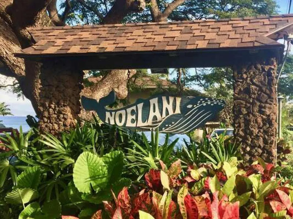 Noelani 118 Villa Kahana Holiday home